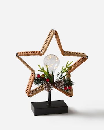 Star Wicker Bulb with Floristry Light