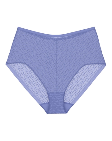 Triumph Signature Sheer Maxi Briefs