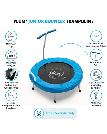 Plum Junior Bouncer - Blue
