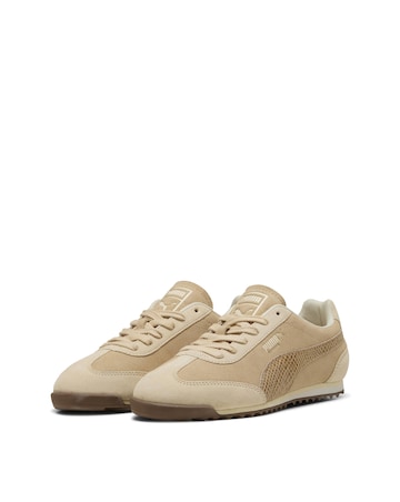 PUMA Arizona Snake Trainers