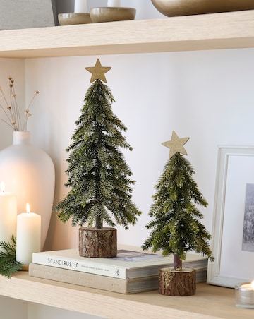 Gisela Graham Set of 2 Bristle Trees with Star Topper - 39cm and 30cm