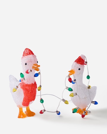 Duck Pair Lights
