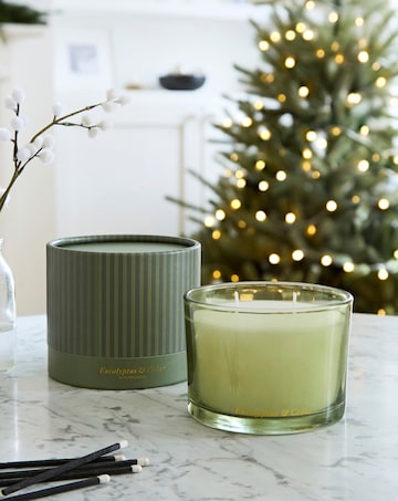 Winter Morning Eucalyptus & Cedar Boxed Glass Candle