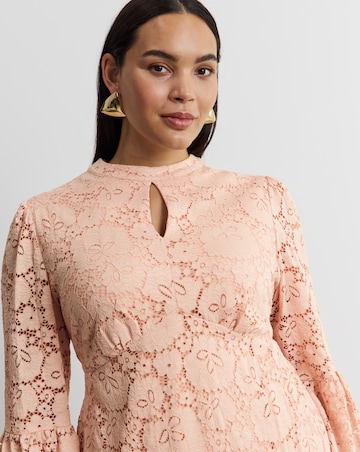 Joanna Hope Lace Shift Dress