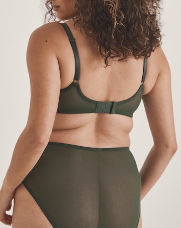 Pretty Secrets Lace Full Brief Knickers Green