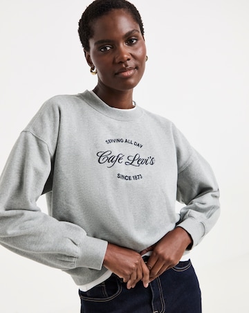 Levi's Graphic Vintage Boxy Crew Sweatshirt