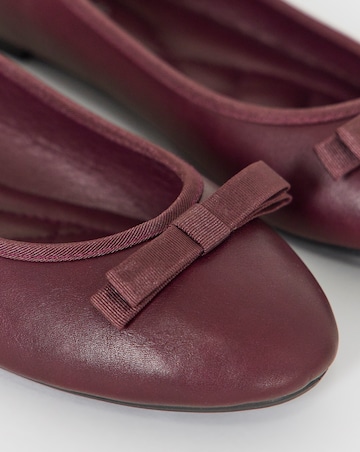 Abundance Classic Bow Ballerina Shoes - Wide Fit (E)