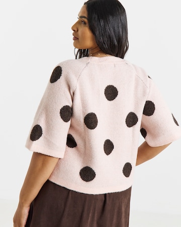 Large Polka Short Sleeve Jumper
