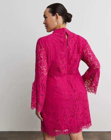 Joanna Hope High Neck Lace Dress