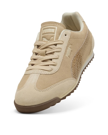 PUMA Arizona Snake Trainers