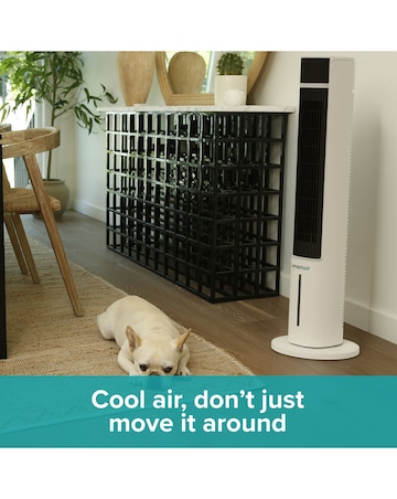 SmartAir Speedi Chill 3 in 1 Tower Fan, Cooler and Purifier
