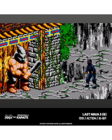 The Last Ninja and IK Collection (Evercade)