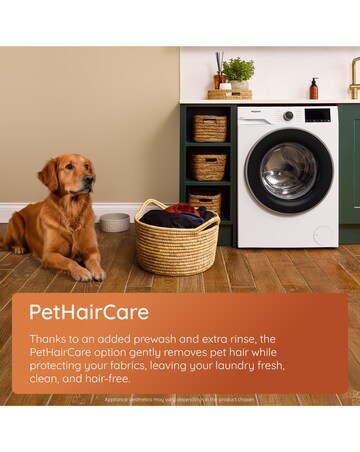 AntiStain H 101B 10kg Pet INST