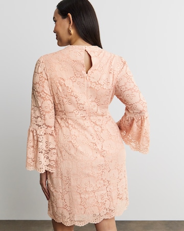 Joanna Hope Lace Shift Dress