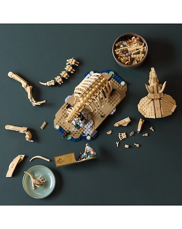 LEGo Jurassic World Dinosaur Fossils: Triceratops 77985