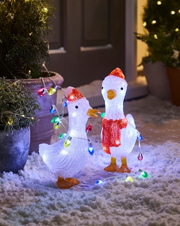 Duck Pair Lights