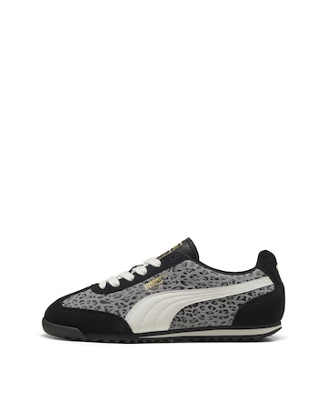 PUMA Arizona Cat Trainers