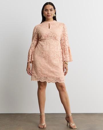 Joanna Hope Lace Shift Dress