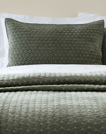 Bianca Attica Velvet Pillowsham Pair
