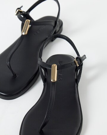 Rocky T Bar Hardware Detail Flat Sandals - Wide Fit (E)