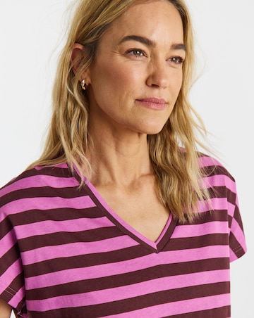 The V Neck Cotton T-Shirt
