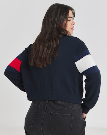 Tommy Jeans Center Flag Sweatshirt Ext