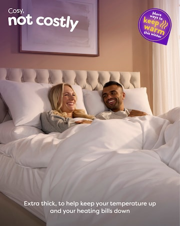 Slumberdown Chilly Nights 15 Tog Duvet + 2 Cosy Nights Pillow Bundle