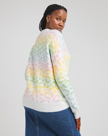 Rainbow Ombre Leopard Crew Neck Jumper