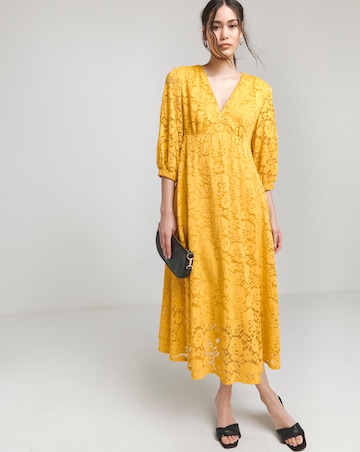 Joanna Hope Stretch Lace Dress