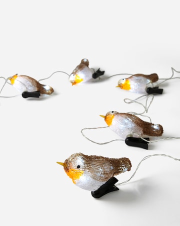 5 Robin Clip on Lights