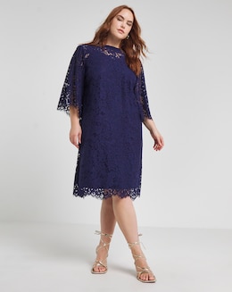 Joanna Hope Navy Lace Swing Dress