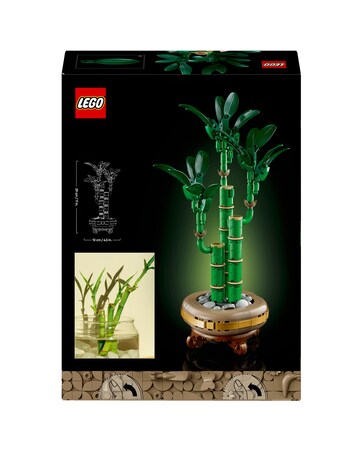LEGO Botanicals Lucky Bamboo Indoor Plant Decor, Gift for Nature Lovers 10344