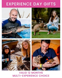 Animal Encounter