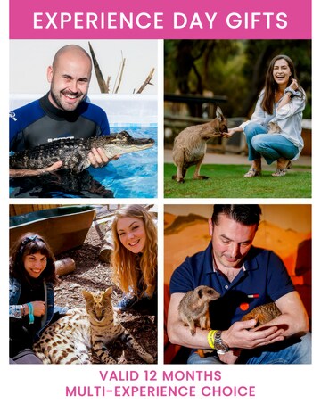 Animal Encounter