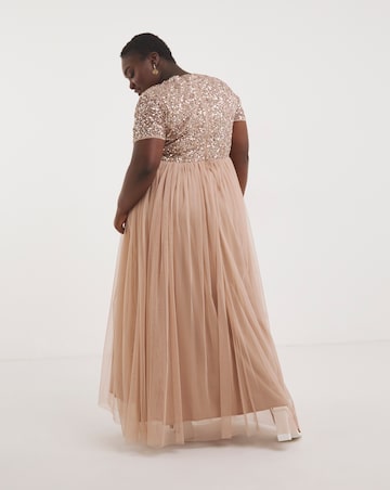 Maya Curve V-Neck Sequin Embellished Tulle Maxi Dress