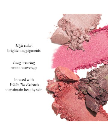 Laura Geller Baked Blush-n-Brighten Marbleized Blush - Pink Buttercream
