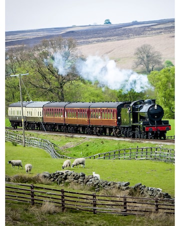 Steam Train Expererience for a Family of Four