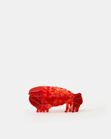 Accessorize Lobster Claw Clip