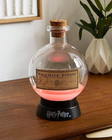 Harry Potter Large Potion Lamp - 20cm Tall