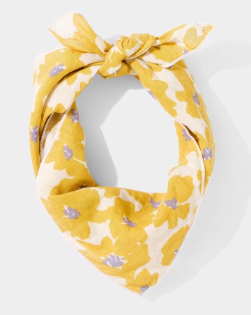 Joe Browns Retro Neckerchiefs