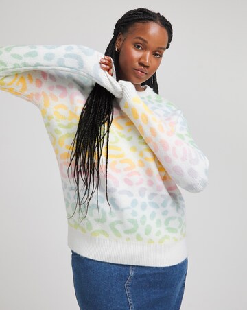 Rainbow Ombre Leopard Crew Neck Jumper