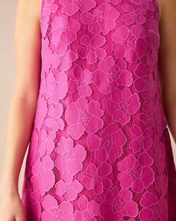 Ro&Zo Lace Mini Shift Dress