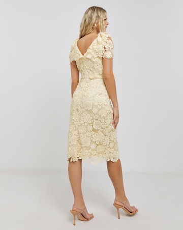 Joanna Hope 3D Lace Midi Dress