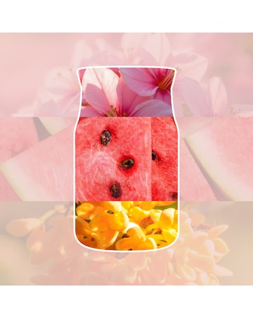 Yankee Candle Signature Large Pink Sands