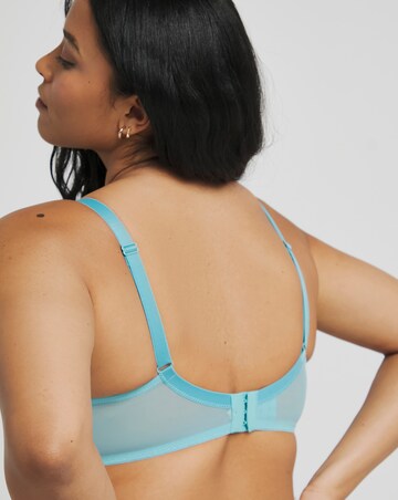 Dorina Curves Imani 2 Pack Full Cup Wired Bras