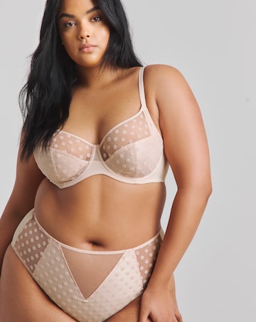 Pretty Secrets (2 Pack) Hannah Everyday Spot Mesh Briefs Black/Blush