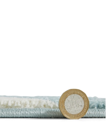 Catherine Lansfield Grace Floral Rug