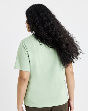 Ecru, Blue, Sage, Chocolate & Black Slim Fit Crew Neck T-Shirts