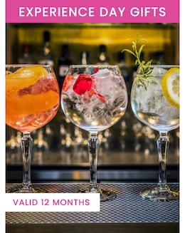 Gin Discovery