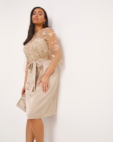 Joanna Hope Latte 3D Lace Scallop Sleeve Satin Midi Dress